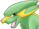 dynavolt-electrike-rakurai-pokemon-pkm-jeu-anime-type-electrik-3g-hoenn-orage