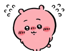 chiikawa kawaii usagi hachiware