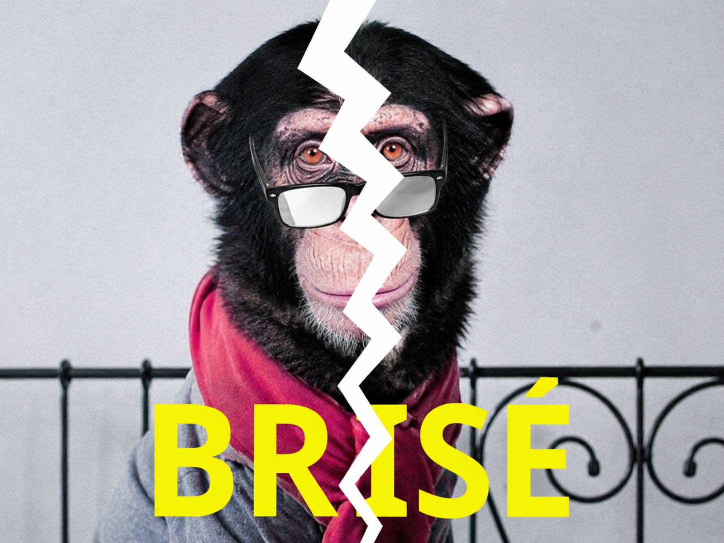 alvin singe brise macaque finance pea