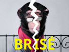 alvin-singe-brise-macaque-finance-pea