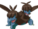 diamat-zweilous-dihead-pokemon-pkm-jeu-anime-type-tenebres-dragon-5g-unys-violent