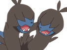 diamat-zweilous-dihead-pokemon-pkm-jeu-anime-type-tenebres-dragon-5g-unys-violent