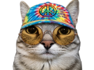 chat-peace-love-hippie
