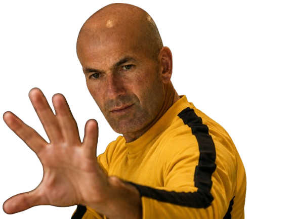 zidane bruce lee