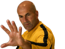 zidane-bruce-lee