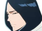 unohana-retsu-bleach-cheveux-noir-yeux-bleu-fic-bloop