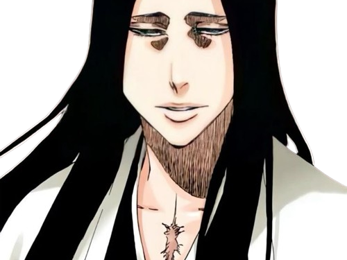 unohana retsu bleach cheveux noir yeux bleu fic bloop