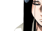 unohana-retsu-bleach-cheveux-noir-yeux-bleu-fic-bloop