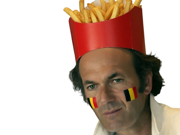 zidane zizou supporter supporteur belge belgique frites fritix blase triste depression honte humilie fatigue choc