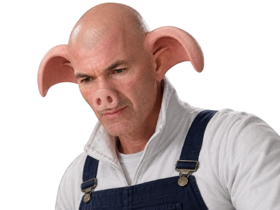 zidane zinedine zizou cdm dragon ball dbz oolong porc groin hallouf haram