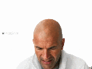 zidane-zizou-zinedine-cdm-foot-football-alors-peut-etre-hourra-youpi-content-gif