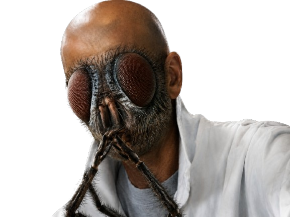 zidane zizou zinedine mouche merde insecte