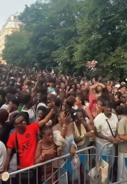 louvre seine eiffel tlm parasite gred sait cotise remplace taxe immigre visa oqtf nigga barbes