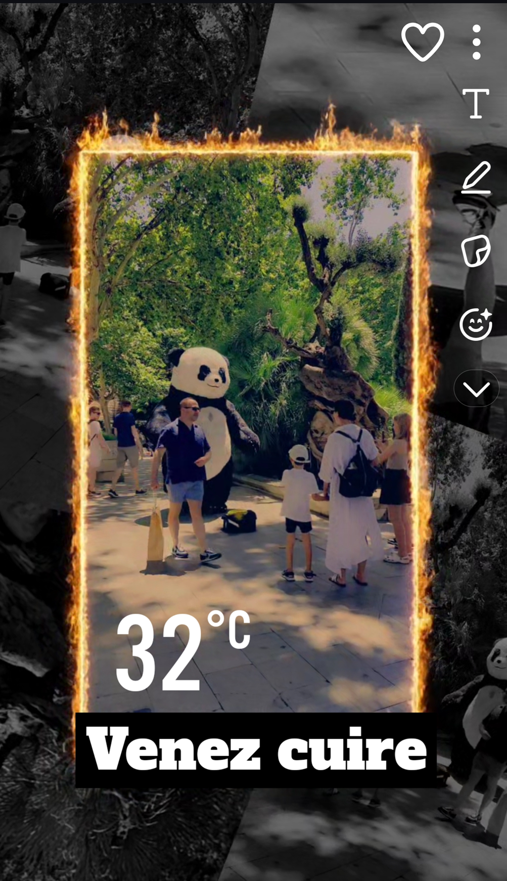 cuire canicule chaud mascotte panda cuisson burn