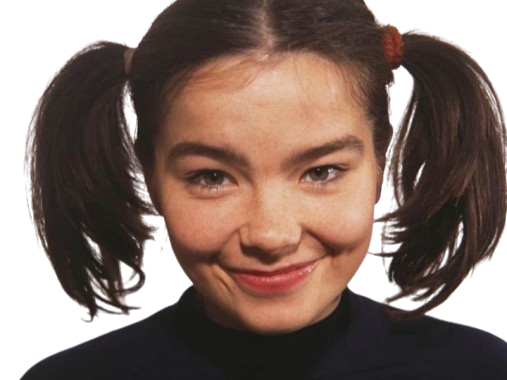 bjork bjorkent chanteuse fille sourire