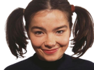 bjork-bjorkent-chanteuse-fille-sourire