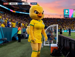 larry silverstein foot coupe du monde poule poulet