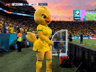 foot-coupe-du-monde-poule-poulet-risitas