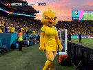 zidane-poulet-calvitie-coupe-du-monde-2026