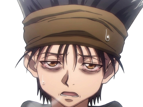ging freecss jeune hunterxhunter hunter x anime manga homme cheveux-noirs yeux-marrons flashback