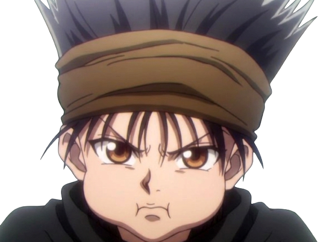 ging freecss jeune hunterxhunter hunter x anime manga homme cheveux-noirs yeux-marrons flashback