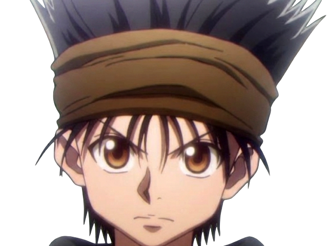 ging freecss jeune hunterxhunter hunter x anime manga homme cheveux-noirs yeux-marrons flashback