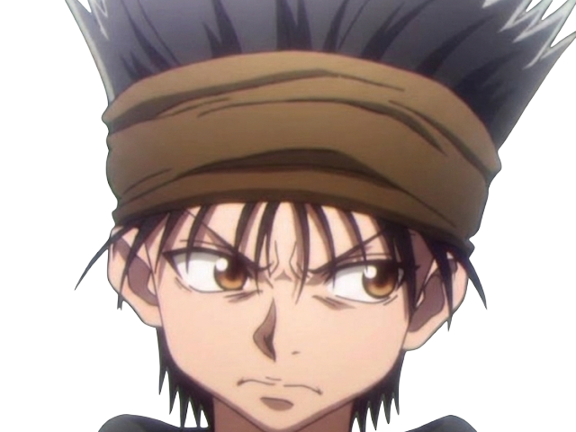 ging freecss jeune hunterxhunter hunter x anime manga homme cheveux-noirs yeux-marrons flashback
