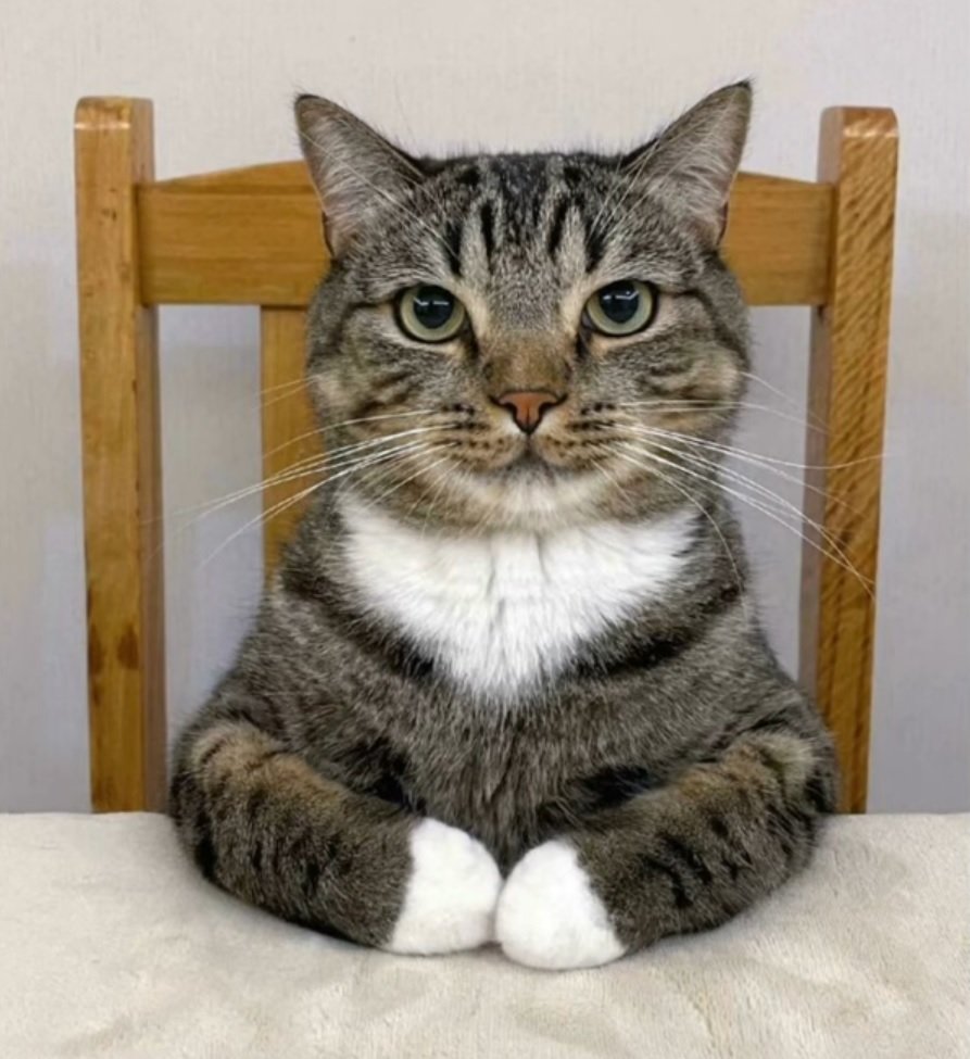 chat bureau patron