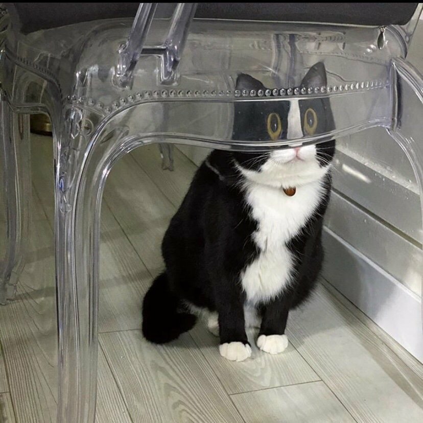 chat psychedelic