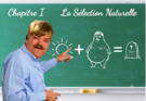 ete-selection-naturelle-canicule-purification-selectionnaturelle-moque-enseigne-apprend