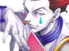 hisoka-morow-hunter-hxh-cheveux-cinabre-yeux-jaune-ambre-clown-isaac-netero-fic-bloop-carte