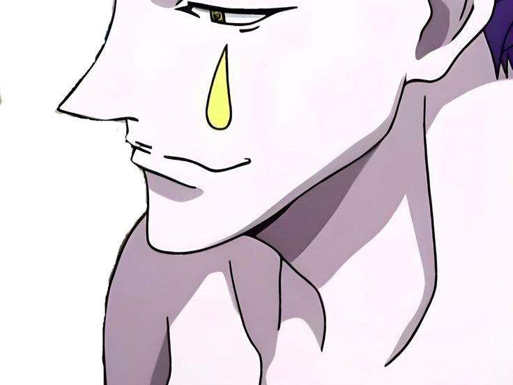 hisoka morow hunter hxh cheveux cinabre yeux ambre clown isaac netero fic bloop nohomo