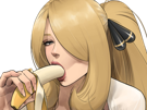 cynthia-pokemon