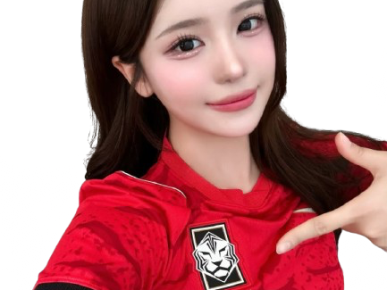 coree sud seoul coupe du monde coreenne supportrice foot football taeguk warrior korea south asie