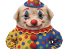 chien-patron-clown