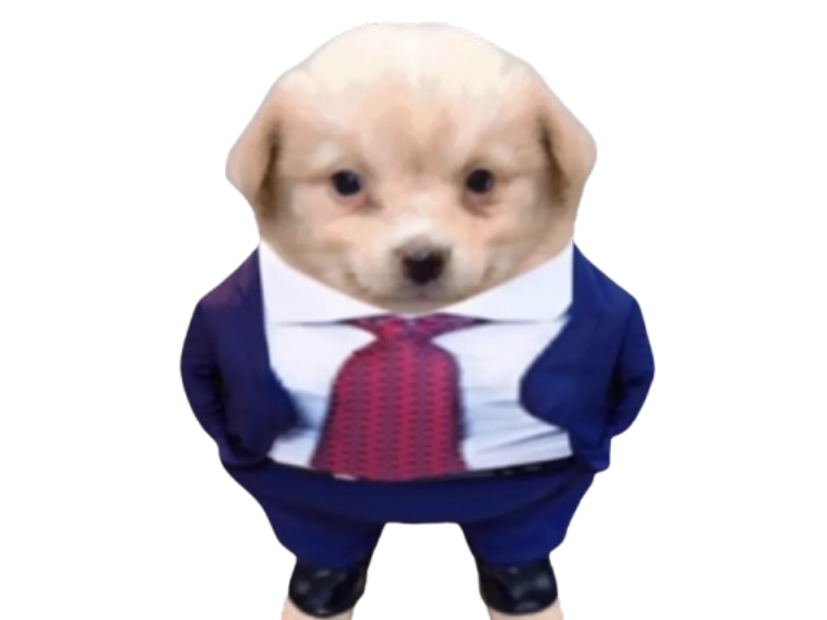 chien patron debout