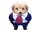 chien-patron-debout