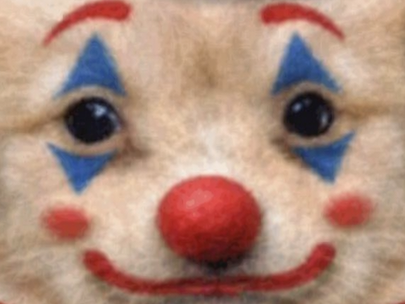 chien patron clown zoom