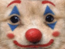 chien-patron-clown-zoom