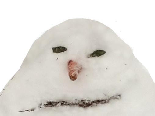 bonhomme neige