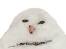 bonhomme-neige
