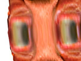 regard suspect