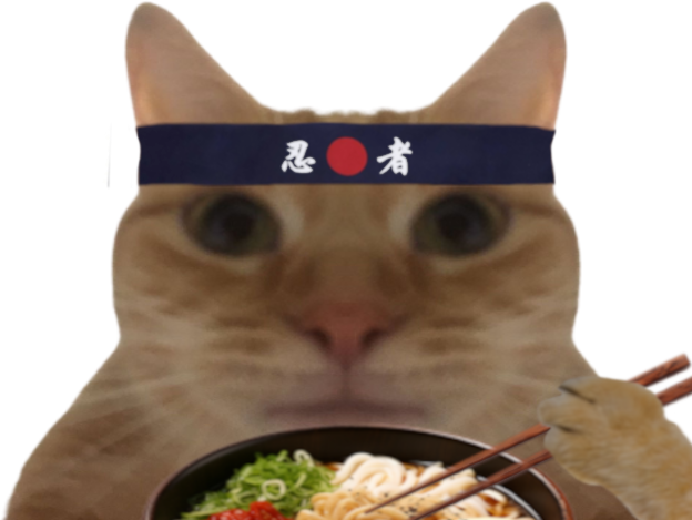 chat miroir nouilles ramen