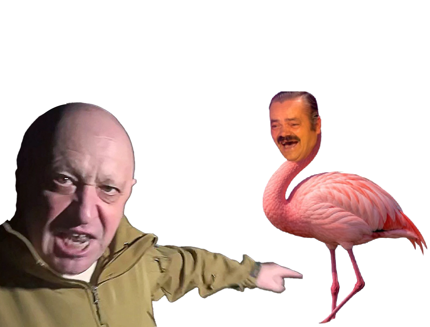 prigojine ukraine russie flamant rosse flamingo evgueni shoigu guerasimov guerre risitas zelensky pls crimee