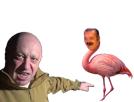 prigojine-ukraine-russie-flamant-rosse-flamingo-evgueni-shoigu-guerasimov-guerre-risitas-zelensky-pls-crimee