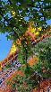 glamour-eiffel-seine-chic-vendome-luxe-dior-lvmh-lancome-chanel-hermes-vuitton-cleef-cartier-louvre