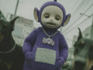 tinky-winky-teletubbies-violet-chiens-dobermann-doberman-dobermans-dobermanns-gangsta-chaine