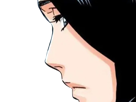 unohana-retsu-cheveux-noir-yeux-bleu-fic-bloop