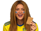shakira-suede-biscotte-jaune-bleu-cdm2026-dai-iko