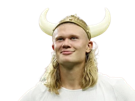 haaland-norvege-viking-casque-erling